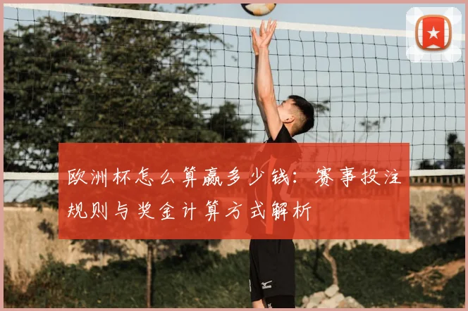 欧洲杯怎么算赢多少钱：赛事投注规则与奖金计算方式解析