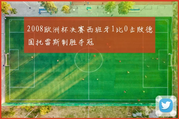 2008欧洲杯决赛西班牙1比0击败德国托雷斯制胜夺冠