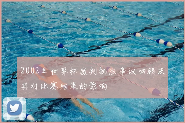2002年世界杯裁判执法争议回顾及其对比赛结果的影响
