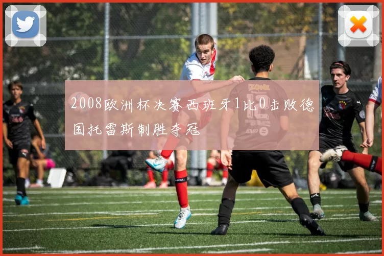 2008欧洲杯决赛西班牙1比0击败德国托雷斯制胜夺冠