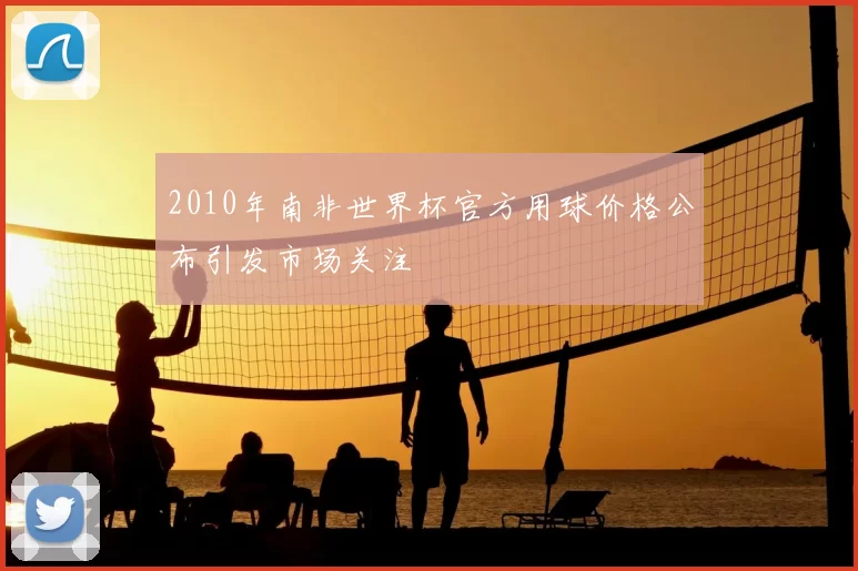 2010年南非世界杯官方用球价格公布引发市场关注