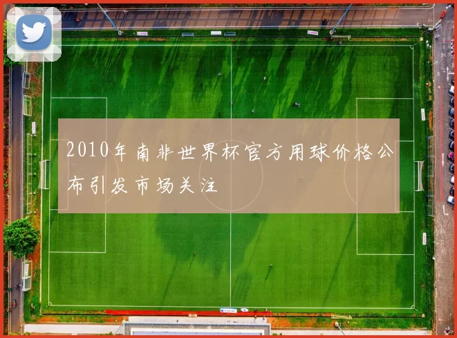 2010年南非世界杯官方用球价格公布引发市场关注